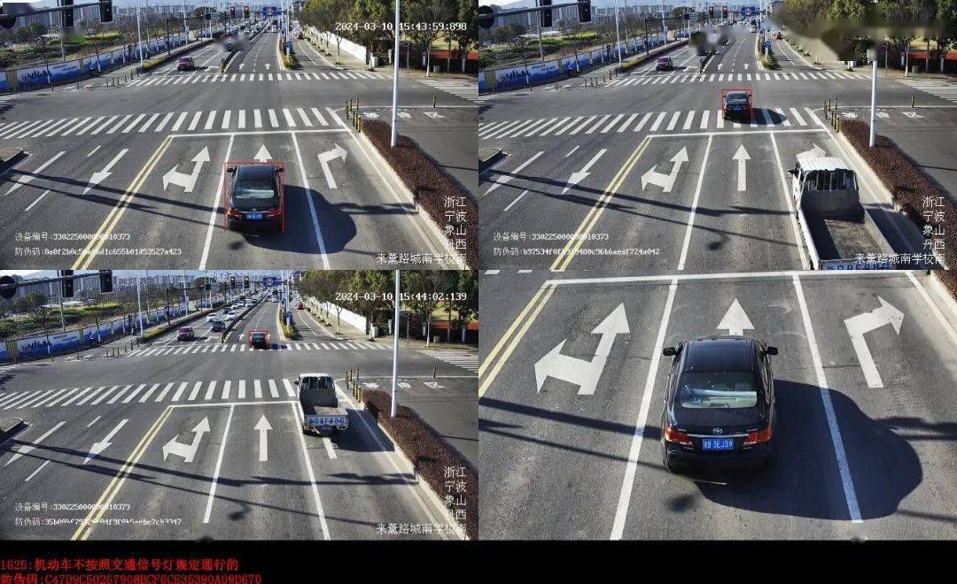 违法_车主_公屿