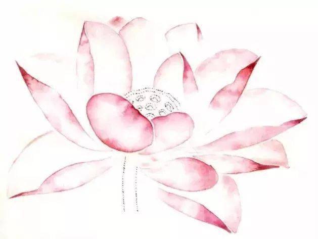 国画教程工笔荷花花冠的各种画法