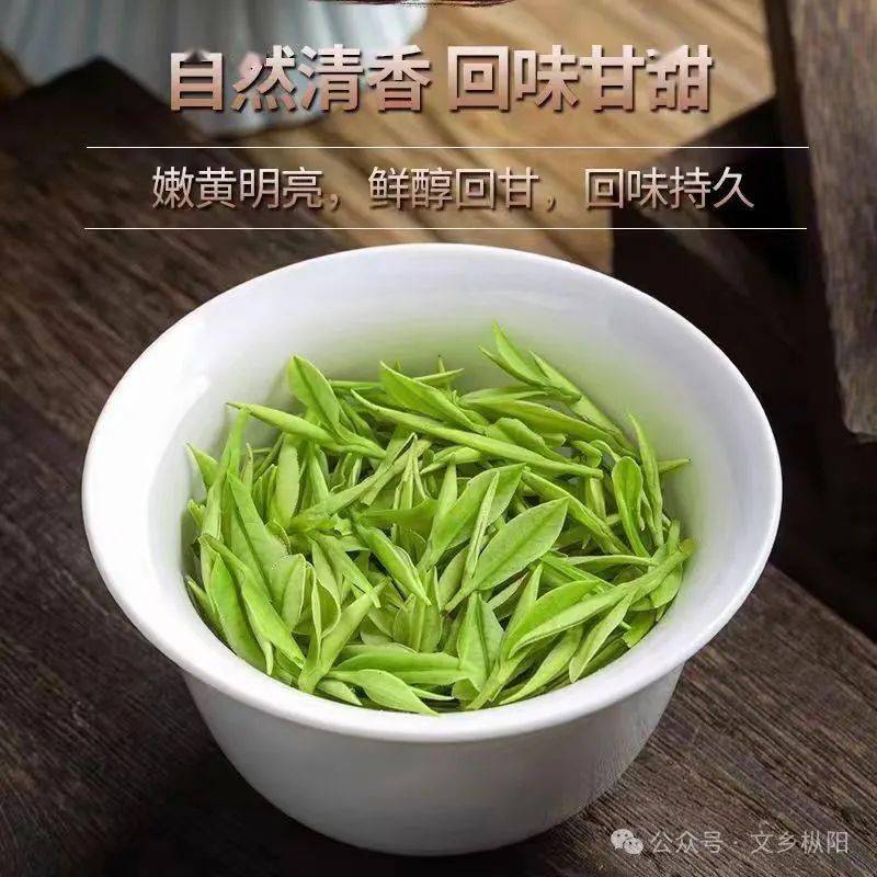 官山黑洼里白茶茶叶家族中的新贵