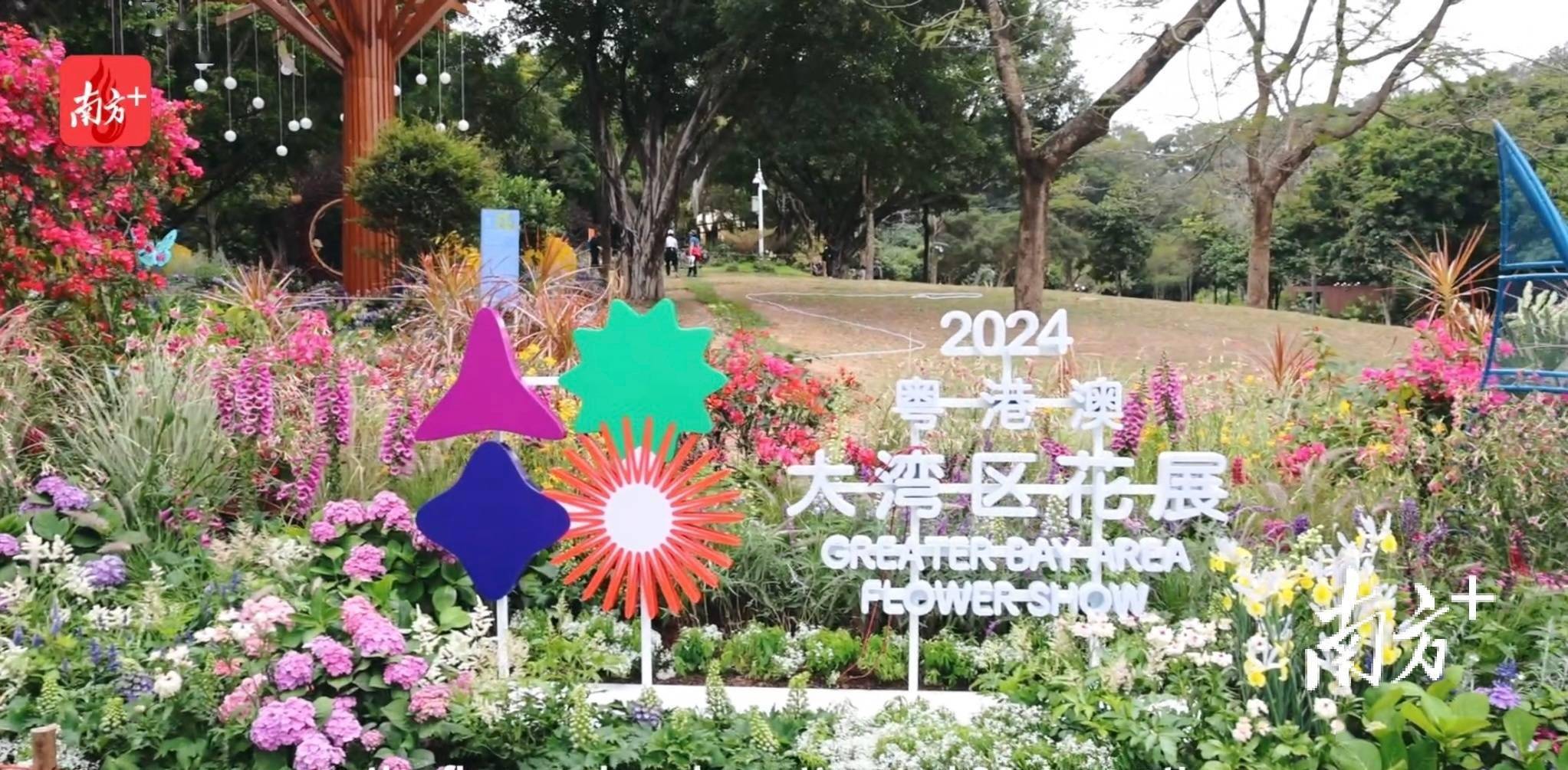 双语vlog粤港澳大湾区花展来了一起逛进春天里2024gbaflowershowhas