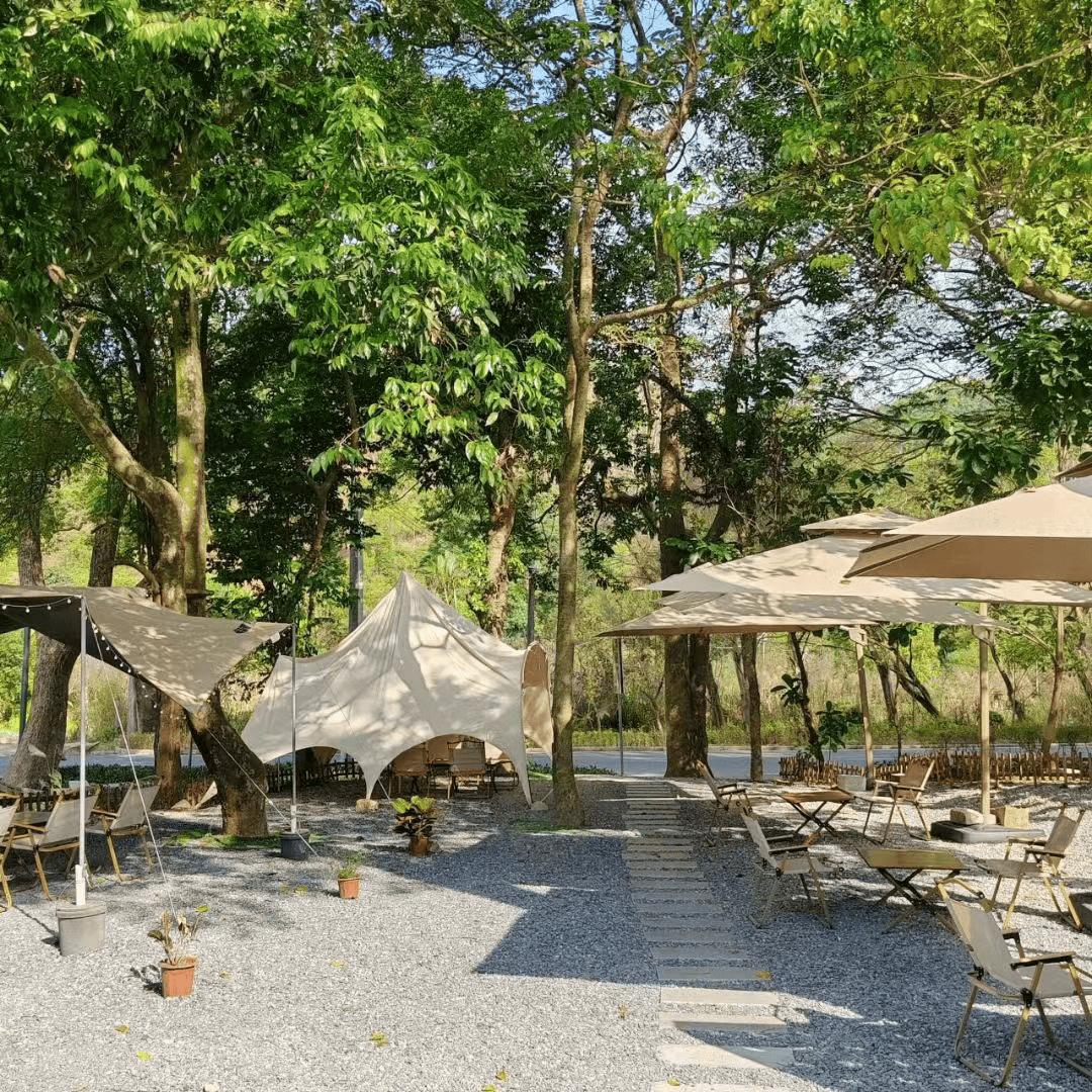 跟着赛事出游用脚步丈量五桂山的春天