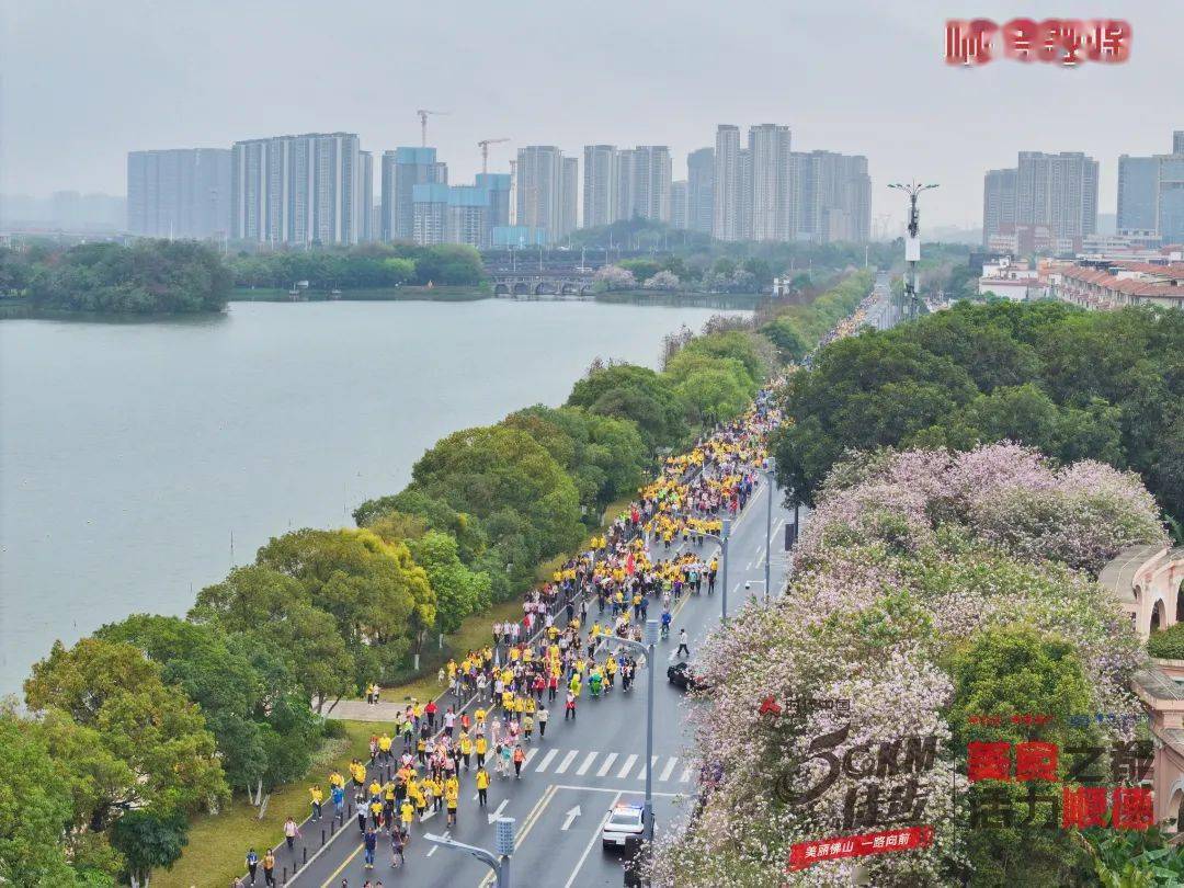 都能勾勒出大多沿河而行,风光旖旎此次顺德线市民徒步至三山森林公园