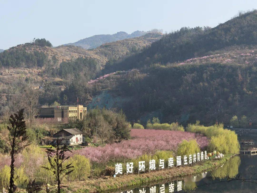 桃花岛夯土小镇△龙湖湿地公园春开梅朵三千树惊艳时人一路香河畔
