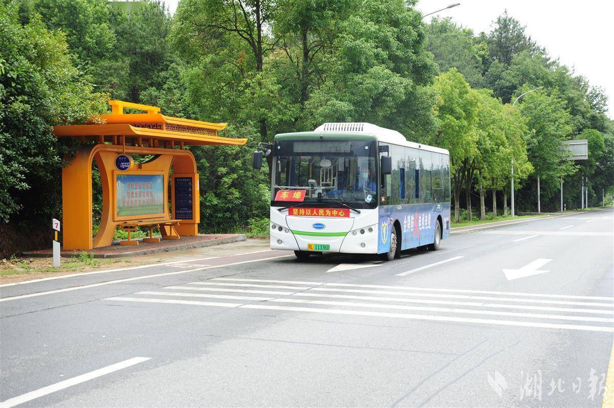 全国最美公交司机出炉湖北4人上榜