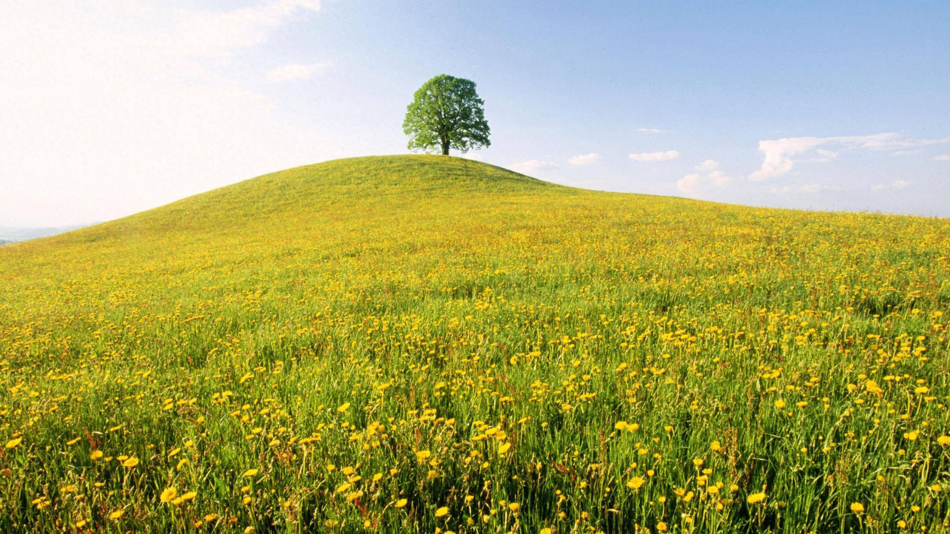 夫妻会不会半路离婚,就看这三个地方,非常准