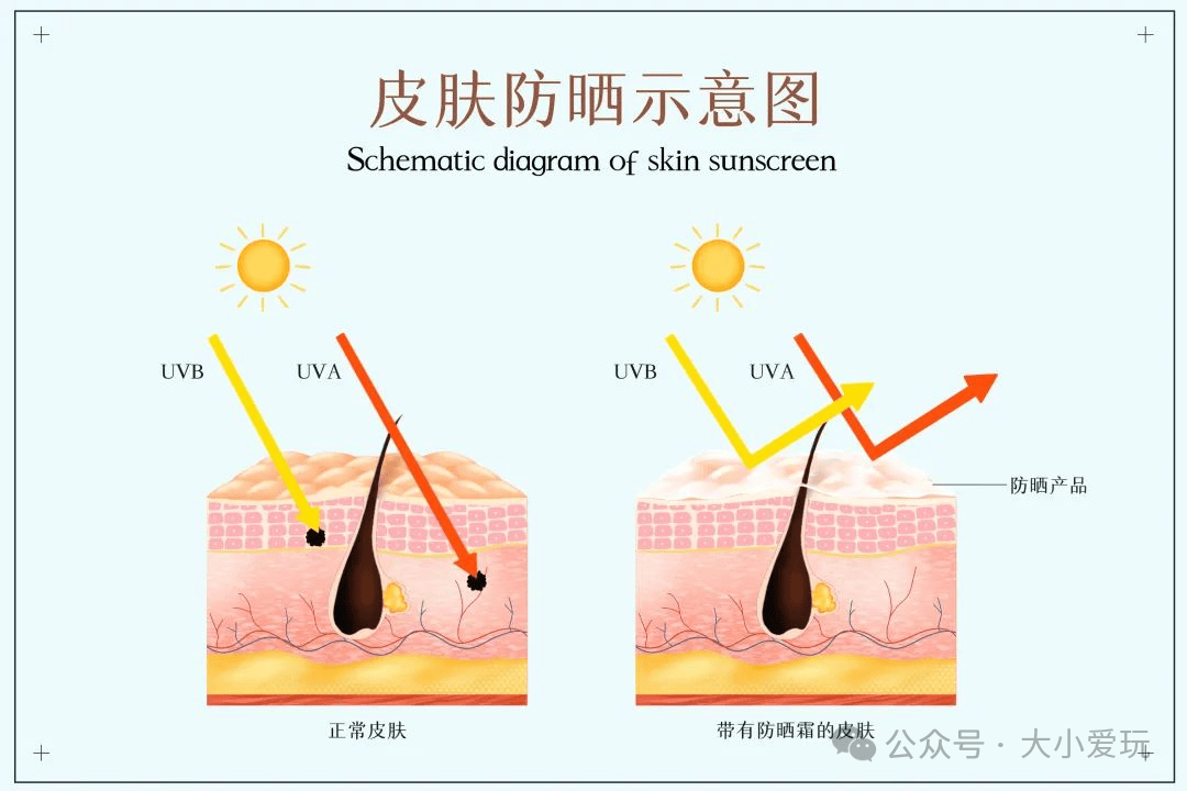 皮膚_孩子_紫外線