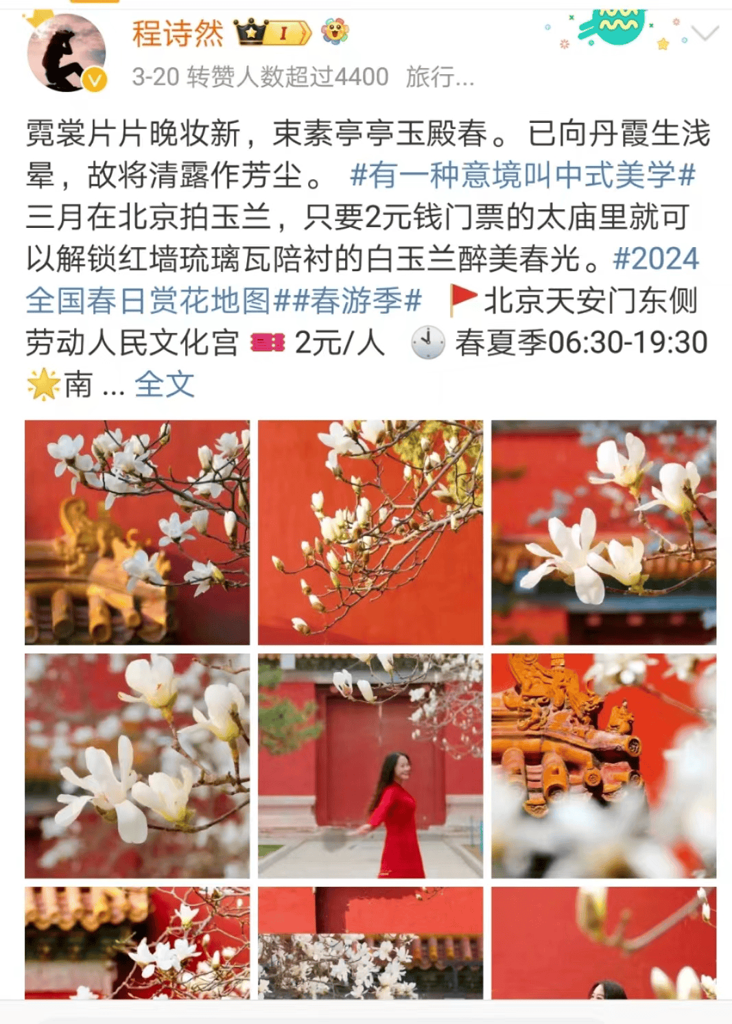 北京第一波玉兰开了!花开满枝头,周末走起!_创意_门票_红墙