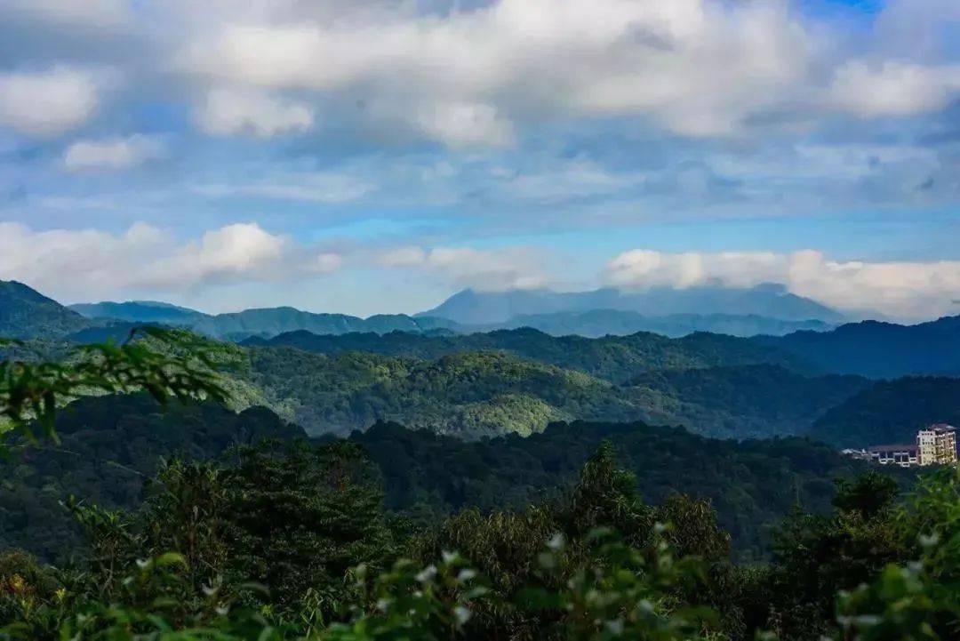 九重远眺位于南昆山西部,其山坡上建有一座揽胜亭,走上亭子可以眺望南