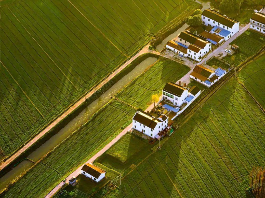 点赞苏州市农业农村现代化工作先进集体