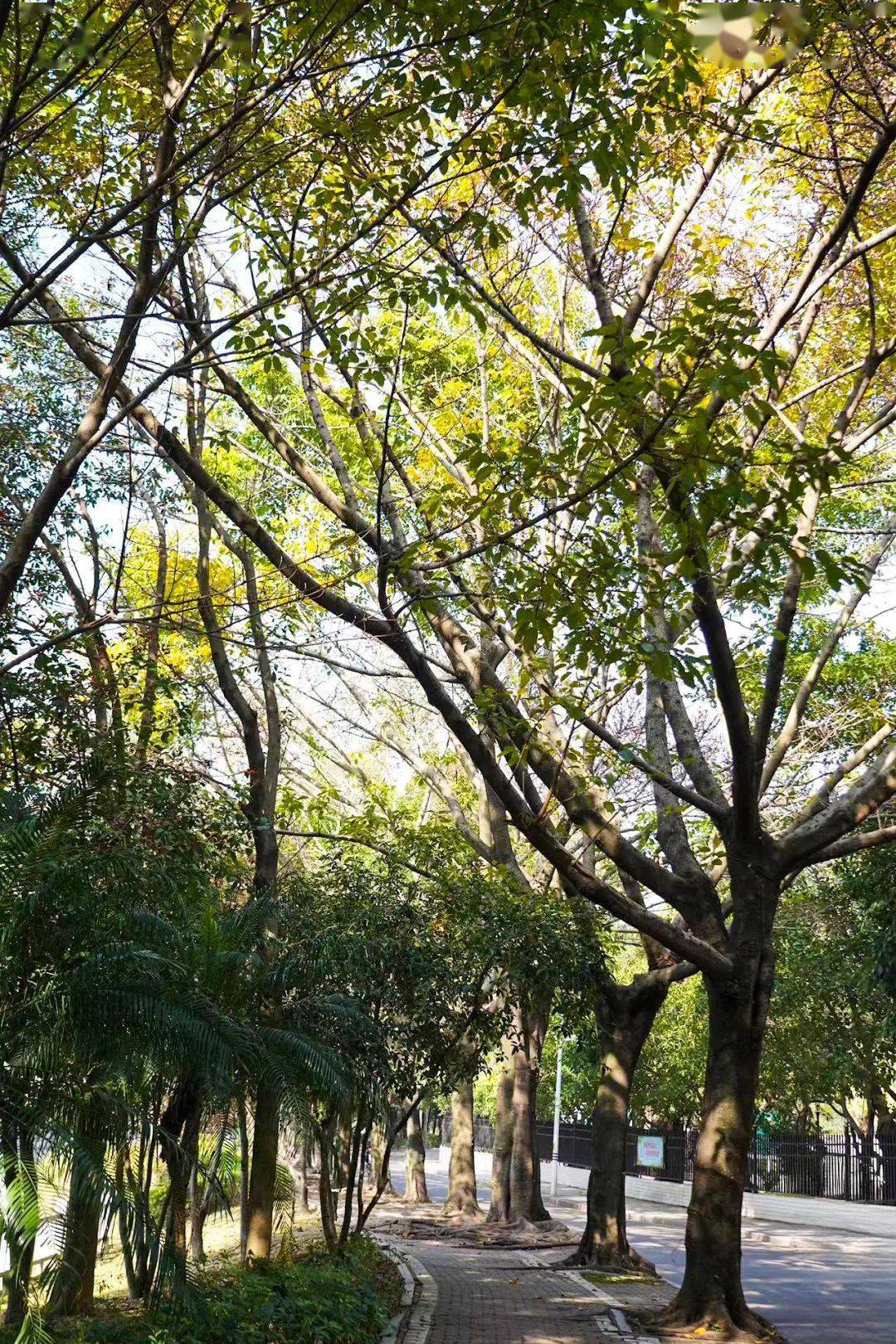 长乐天气又双叒要变