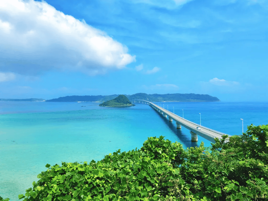 旅行作家纪行探索日本秘境自然与文化交融的山口县绝景之旅