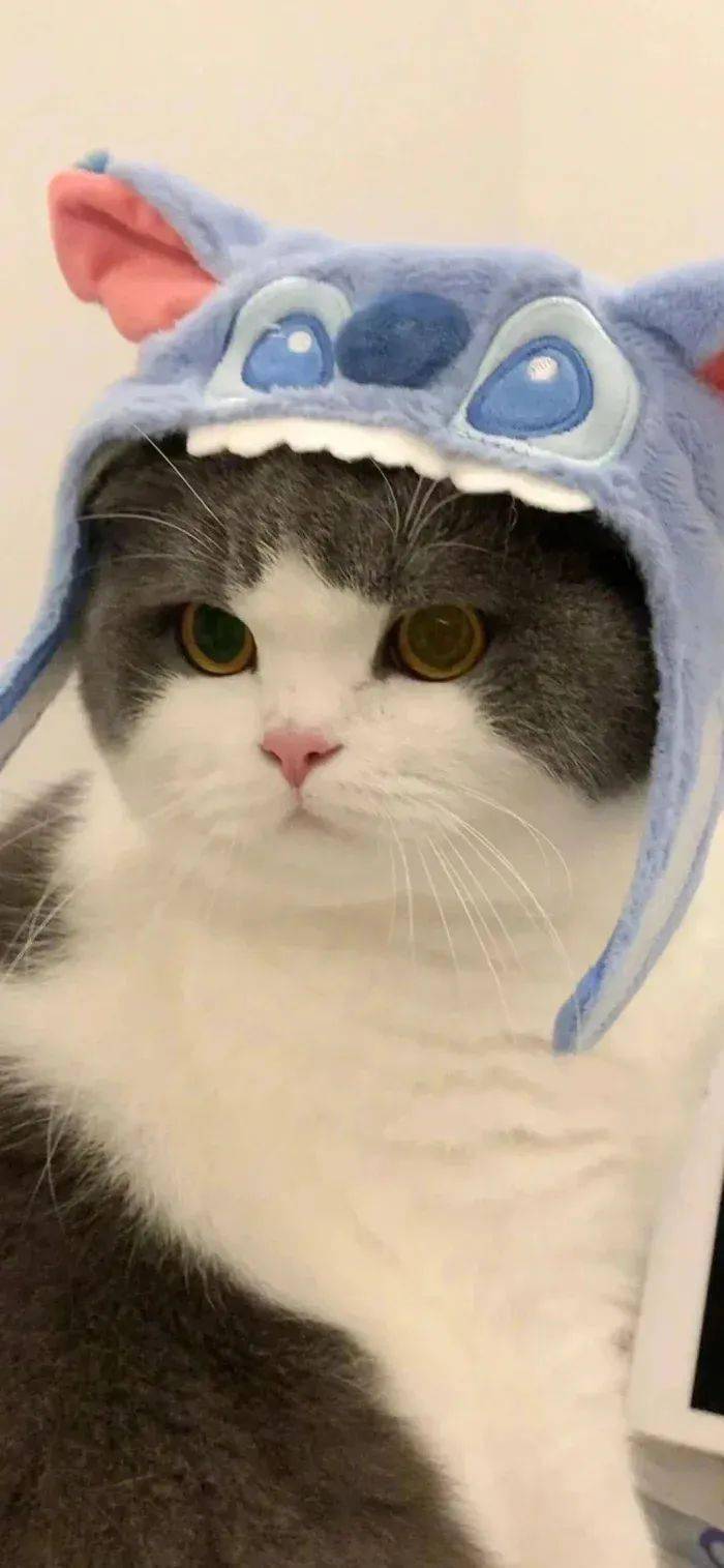 壁纸非常喜欢的高清手机锁屏壁纸