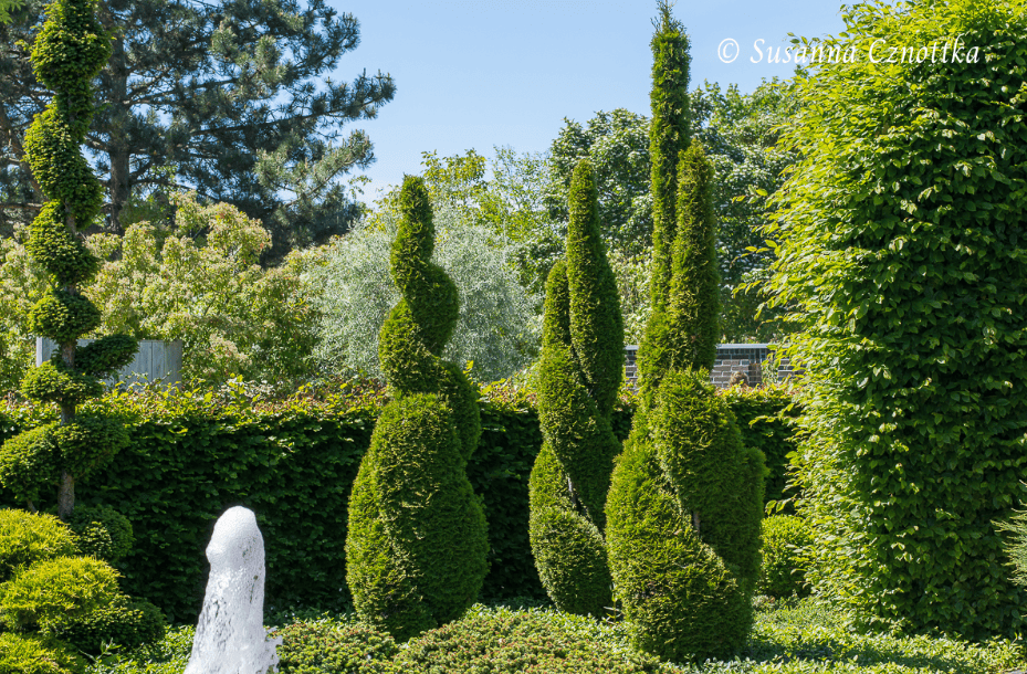 14公顷公园绿地中的植物搭配艺术_花园_树木_种植