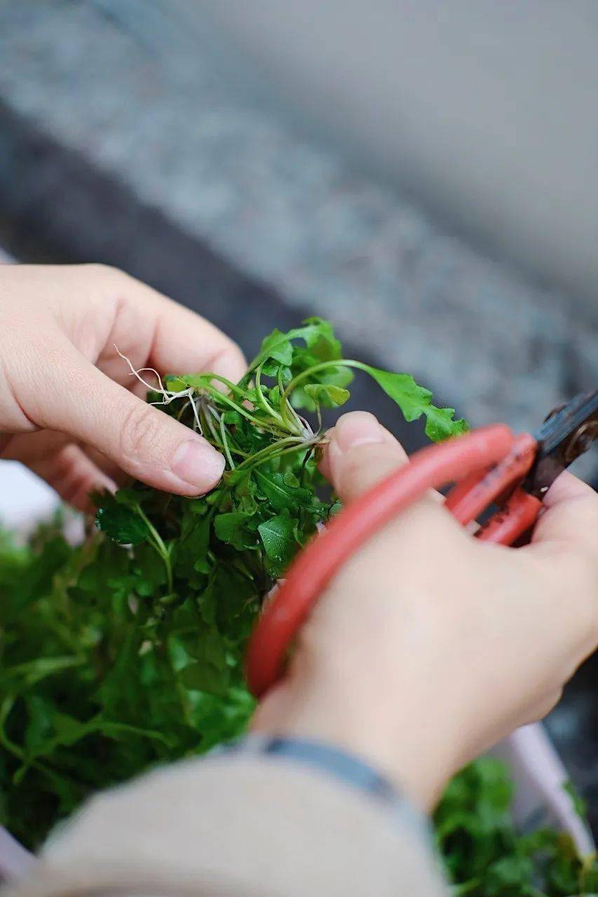 什么是天水天河注水之地能否接住泼天富贵