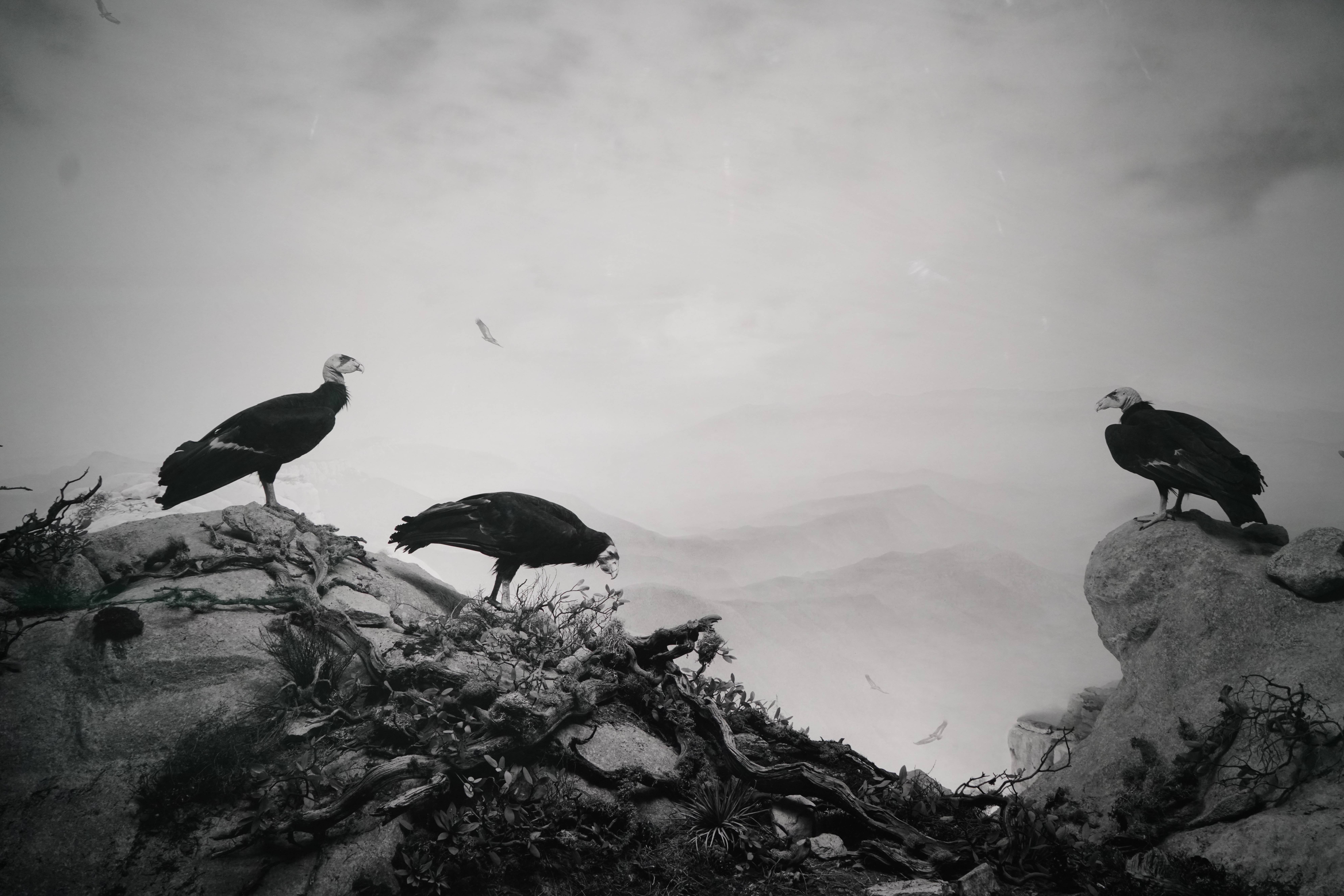 现场|"无尽的刹那":看杉本博司五十年的摄影与跨越