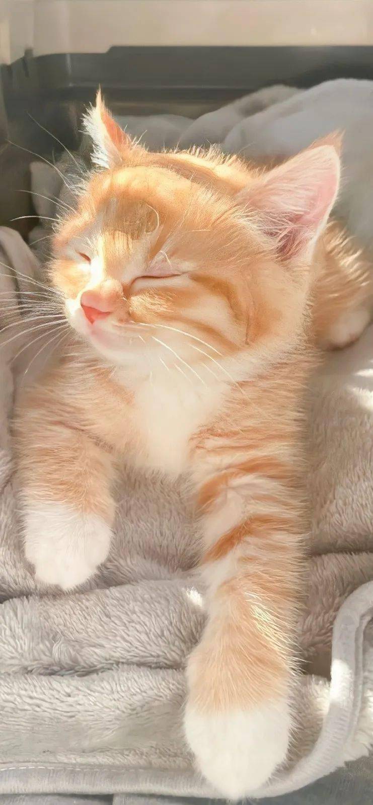 壁纸非常喜欢的高清手机锁屏壁纸