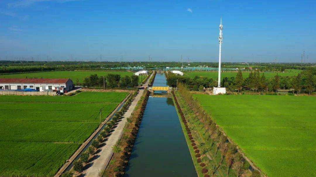 水质更好服务更优河湖更美松江写就高质量发展碧水答卷