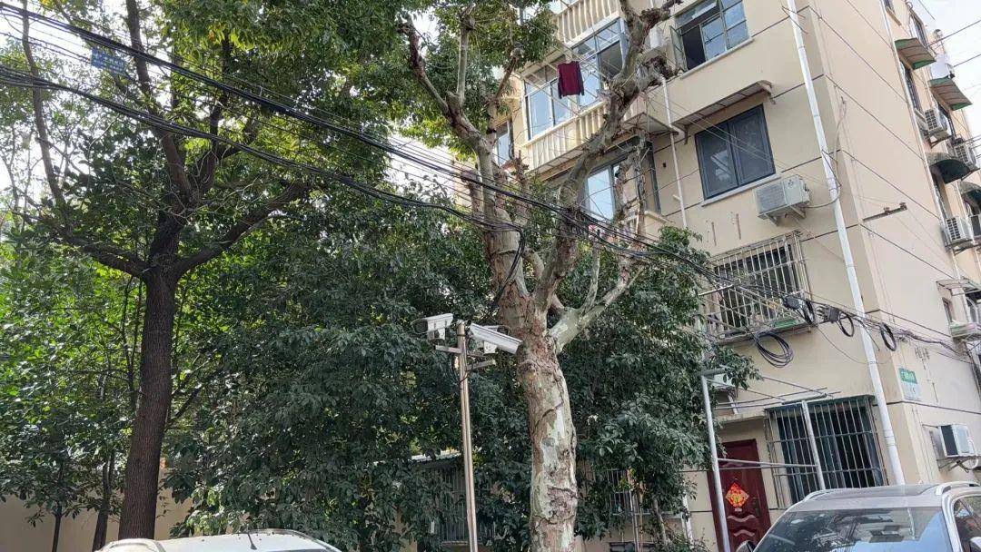 解民所忧老旧社区焕新颜