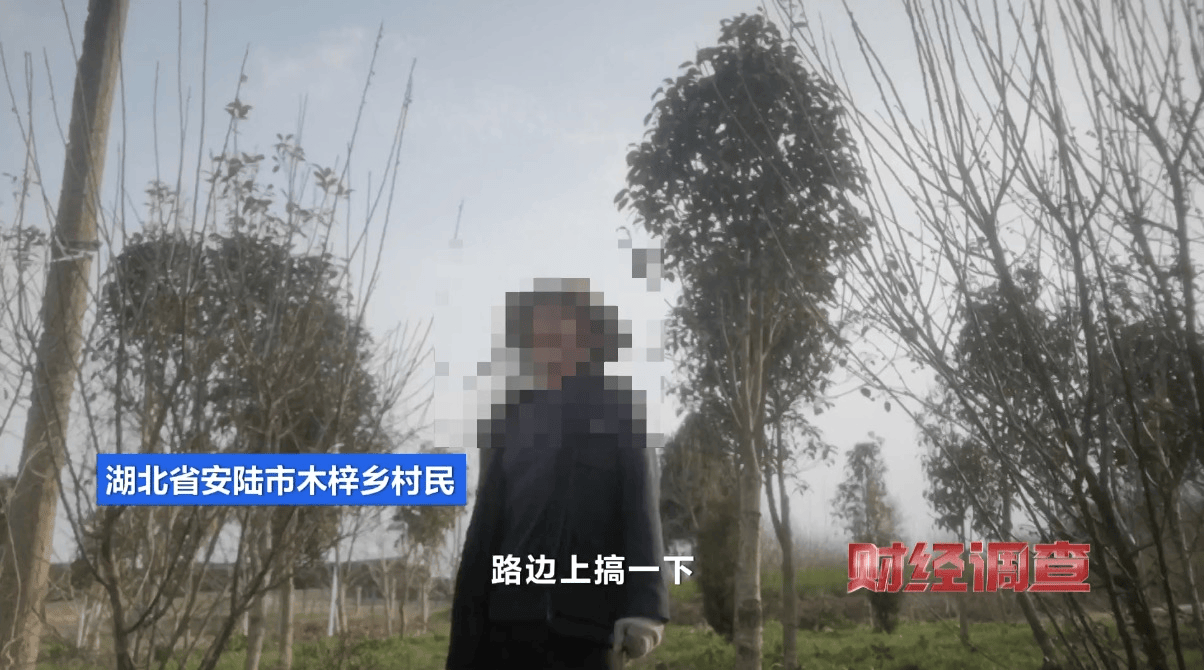 湖北部分光伏电站侵占大量基本农田,高标准农田被偷梁换柱→_项目