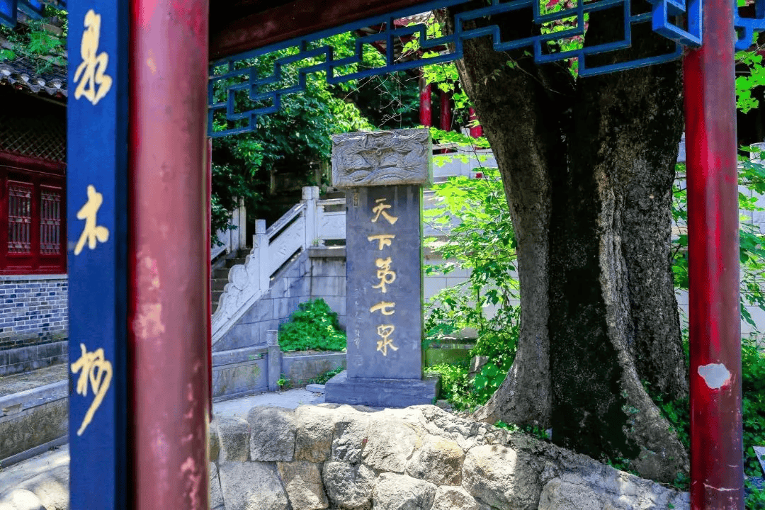 怀远县白乳泉景区白乳泉景区→四方湖景区→龙亢农场体育