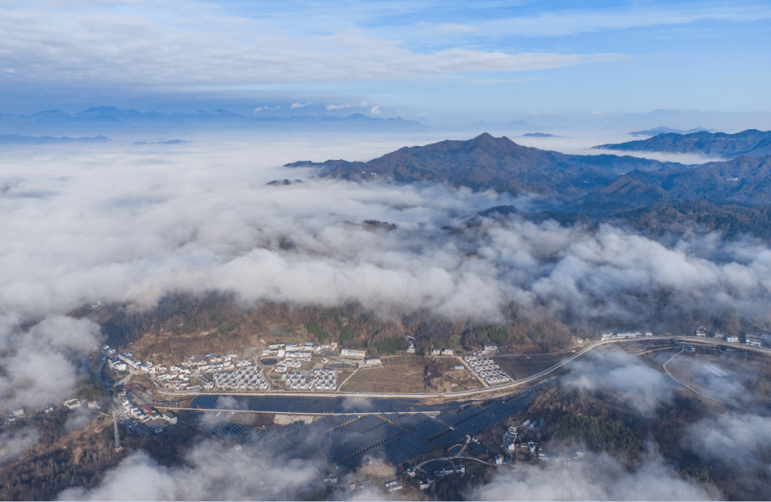 《花开太平山》石义良《山村秋色》黄芳苓《采菊》汪诚编辑:唐琪初审