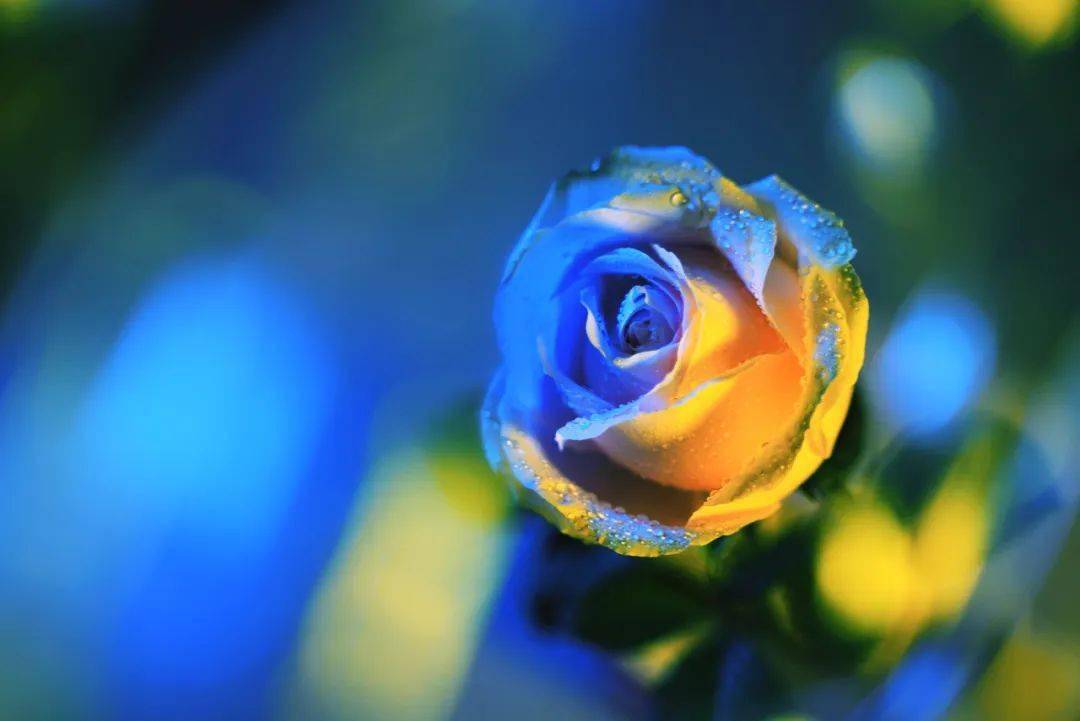 花了20块钱承包了2小时的拍照乐趣