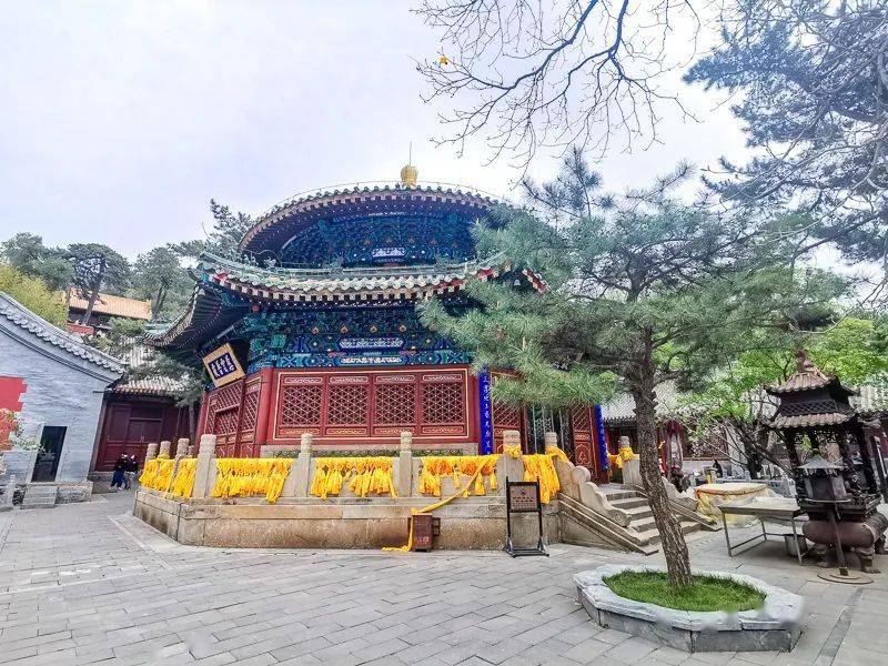 1日又见61潭柘寺享誉京华的二乔玉兰花开の千年古刹皇家寺院戒台寺