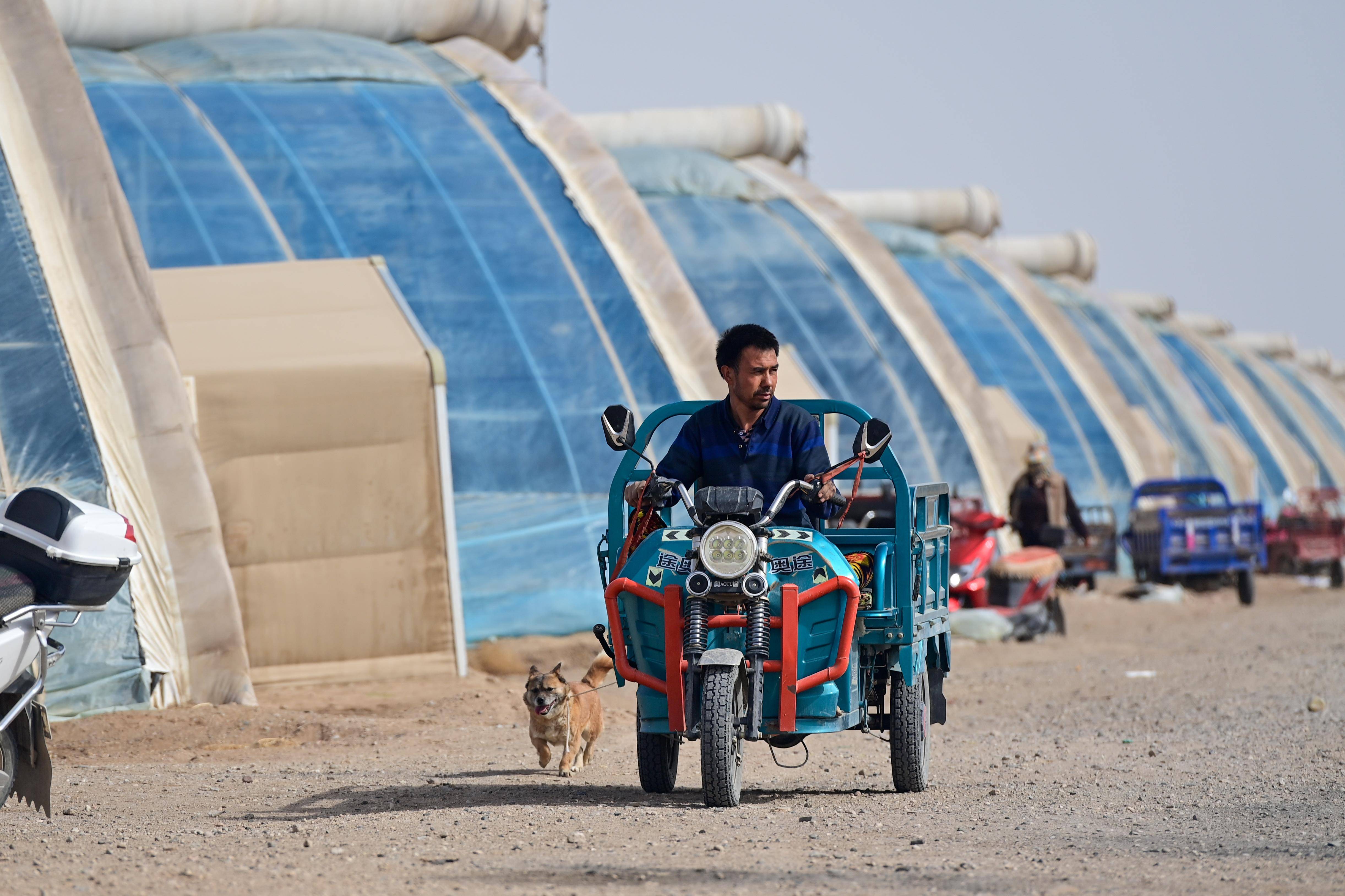 在新疆阿克苏市阿依库勒镇蔬菜基地,零售商将采购的菜苗装车(3月24日