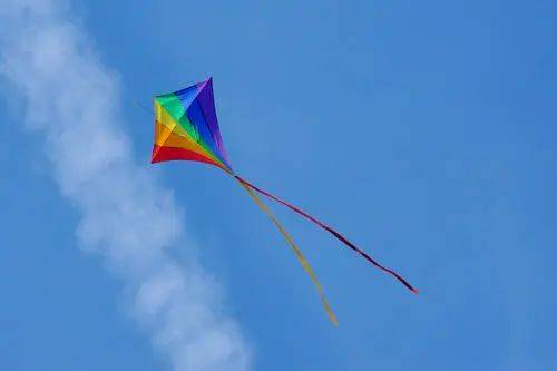 活动招募免费参与丨筝舞翩然彩绘春天南阳李宁体育园风筝文化节