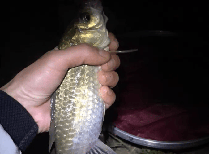 水深合适才能找到鱼,很多人都钓错了!