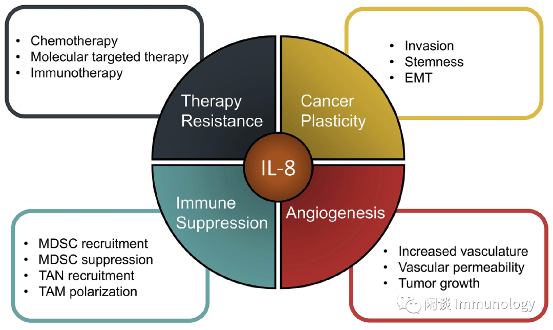 肿瘤免疫微环境的15个细胞因子