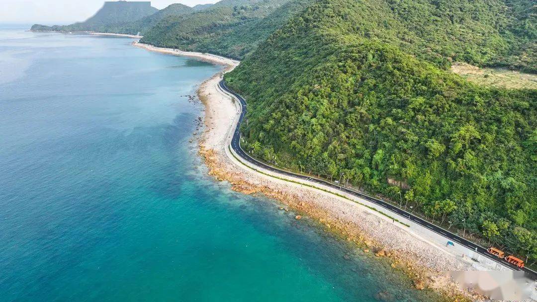 一天20元游遍热门景区!大鹏旅游观光线发车