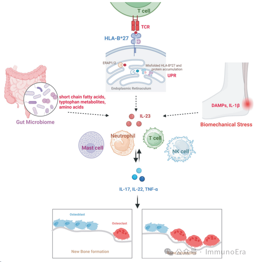 100种自身免疫性疾病简介1