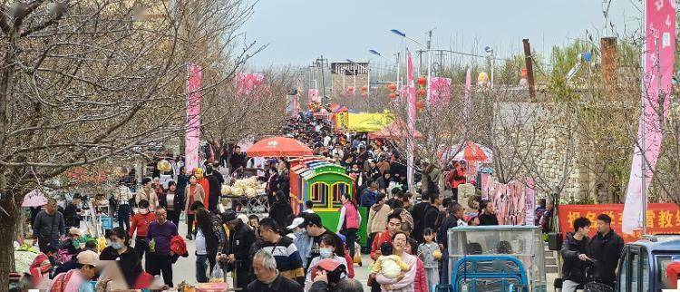 东风暖樱花灿北市的春日盛宴正等你2024花开北市樱花旅游节开幕