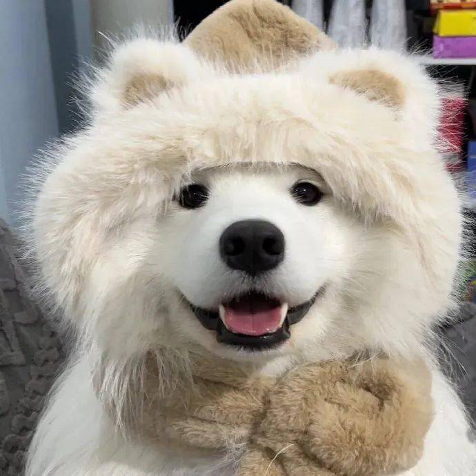 头像小众高级艺术感头像