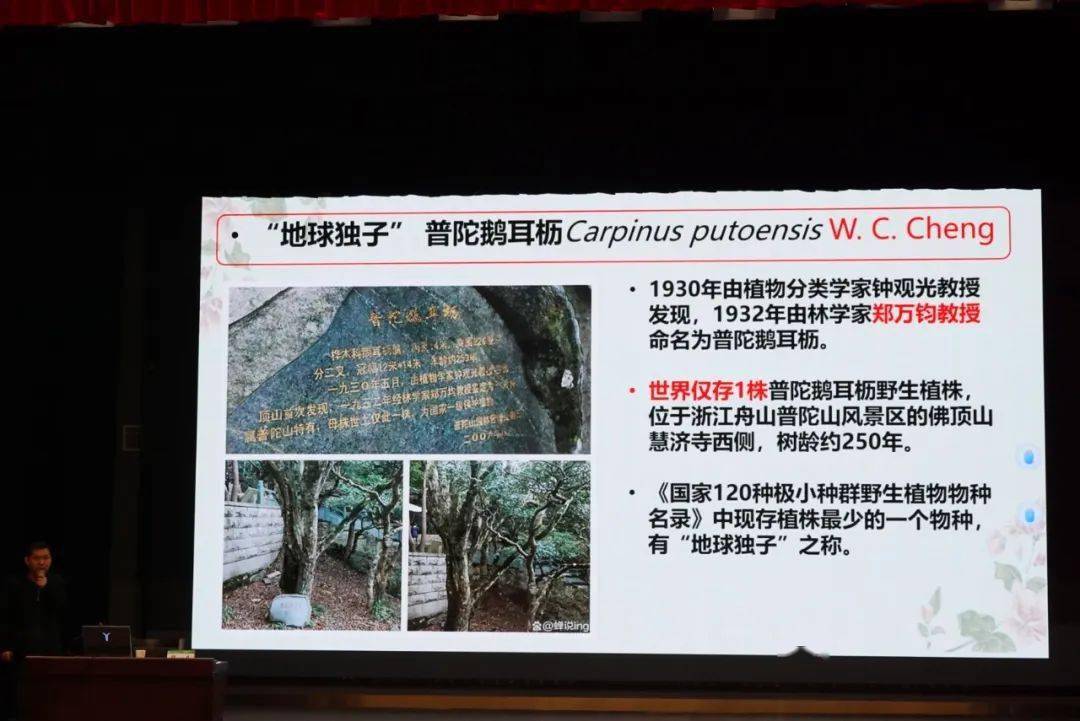 志远生活樱你而来志愿同行