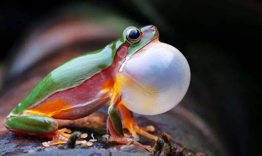 广西清明放假十一天打工人实名羡慕了