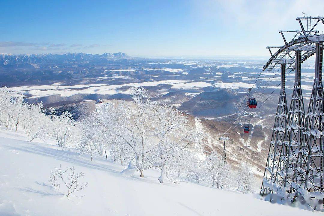 首发目测今年要超越尔滨的目的地2025雪季预售一价全
