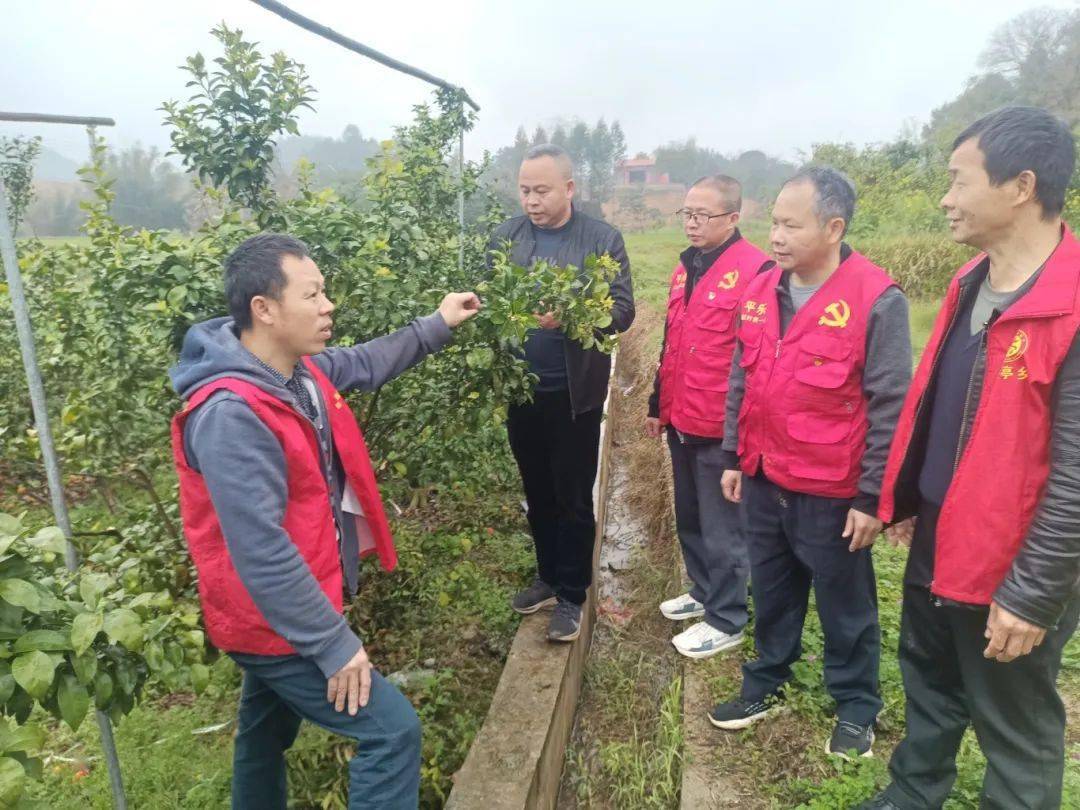 平乐县桥亭乡驻村树新风助村促文明