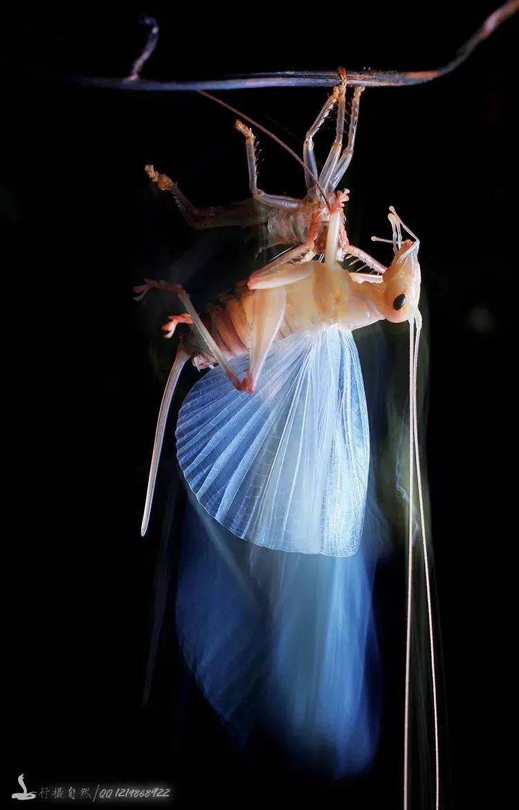 广西清明放假十一天打工人实名羡慕了