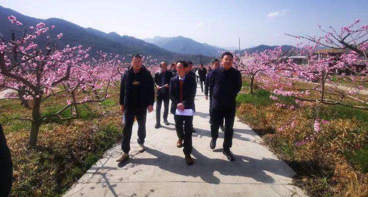 县区宁强县政协指导学习联络组开展学习交流活动