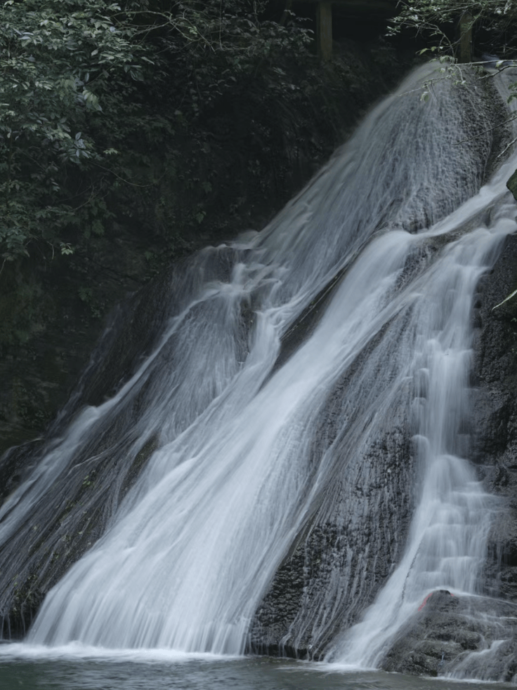 94背景地语文书里的象鼻山 7215桂林的山水画7115趁着年轻