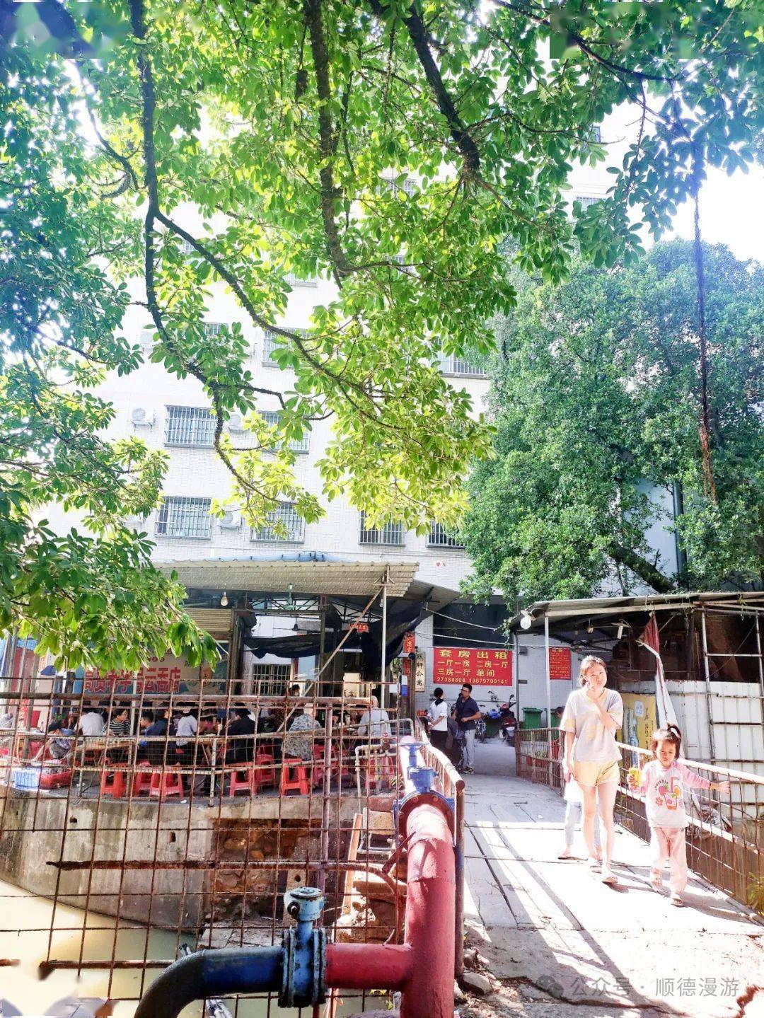 龙江金紫公园里海水闸北滘美的空调设备厂莘村中学三洪奇二级闸均安仓