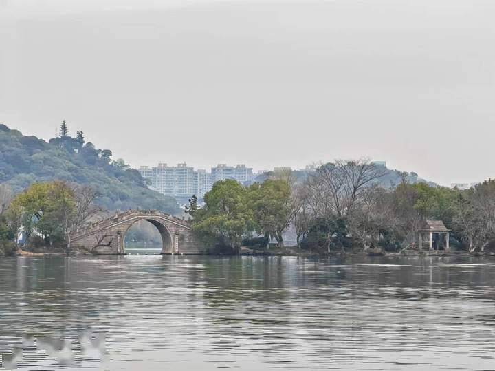 小炉煮茶|西湖有妹名"湘湖"_杨时_问题_萧山