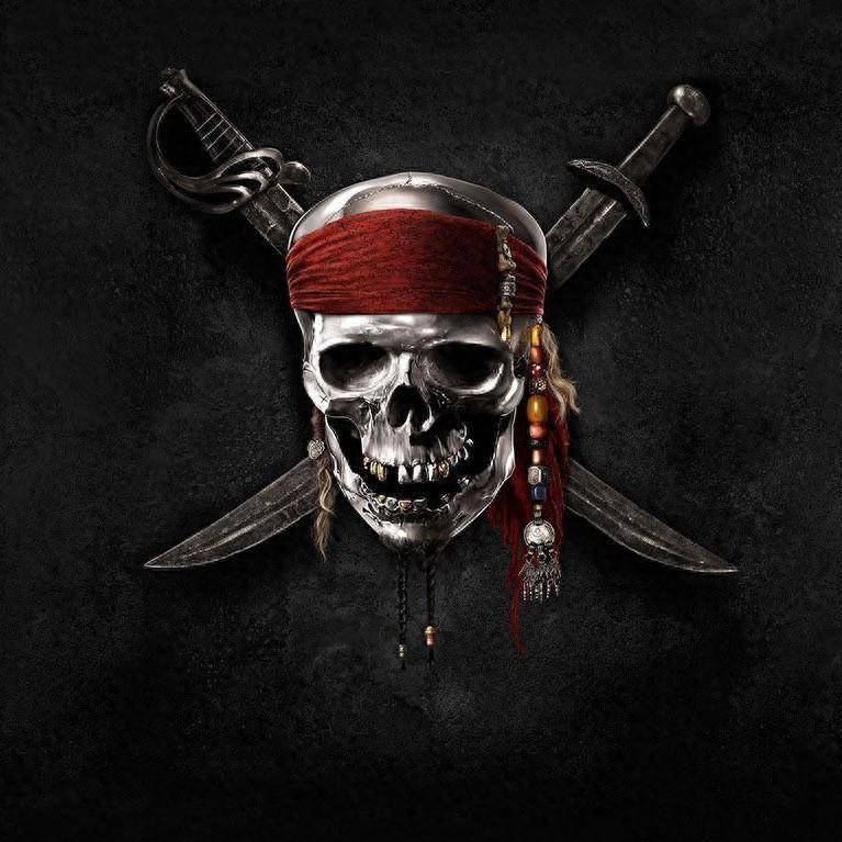 《加勒比海盗6：新航程，老粉丝的期待与新观众的探索》  第2张