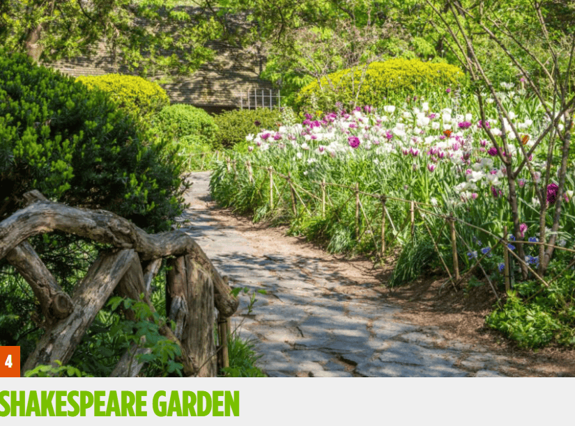 中央公园9大绝美赏花点, 快收藏!_east_th-_garden