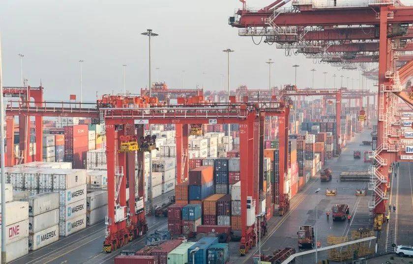 红海危机下科伦坡港转运量激增