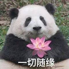 面对生活有怎样的态度呢快来留言区聊聊~封面表情包自取青春聚力,筑梦