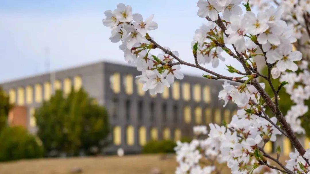 又被你美到了,我的科大!_樱花_微风_大学生