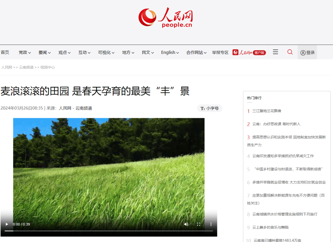 盘龙这片麦浪成海美上了人民网首页刷屏人民网新媒体矩阵